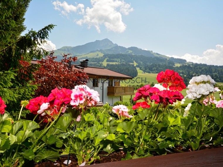 Ausblick